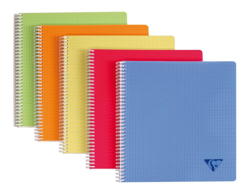 CAHIER CLAIREFONTAINE LINICOLOR RELIURE INTGRALE ASSORTIMENT FRESH A4 21X29,7CM 180 PAGES 90G 5X5MM