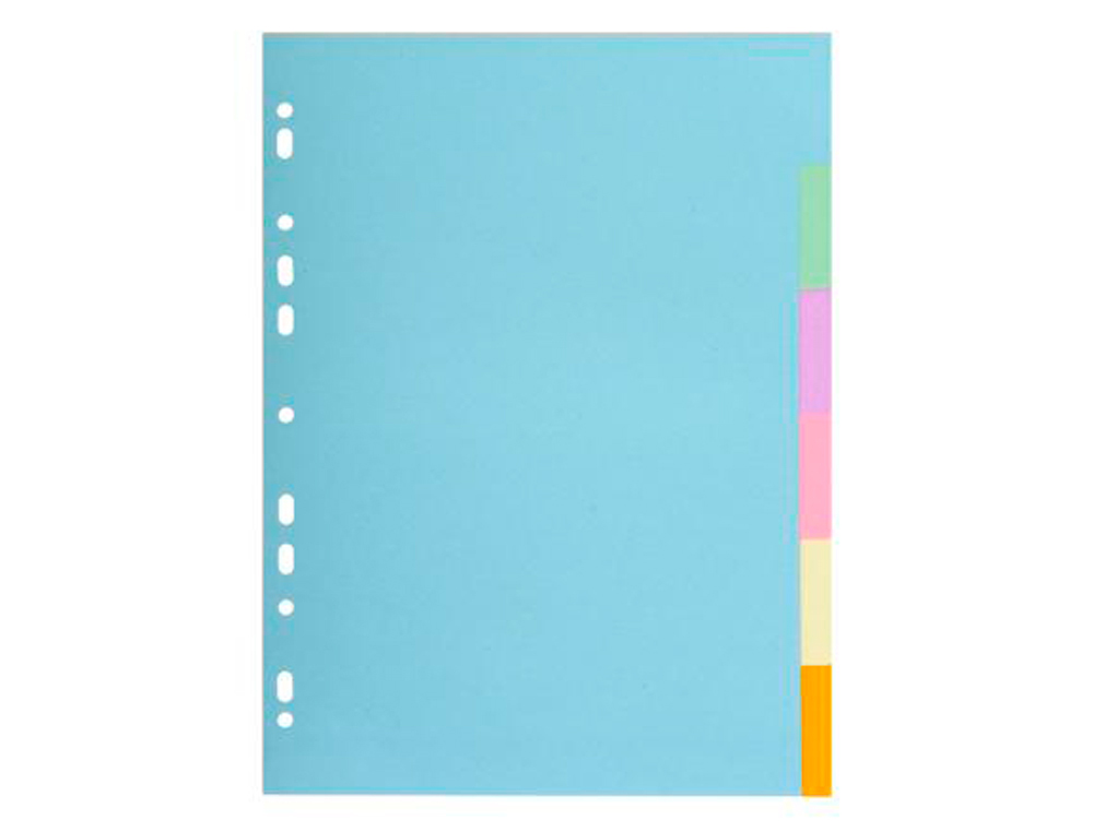 INTERCALAIRE EXACOMPTA CARTE FORTE RECYCLEE 170GR 17X22CM  6 POSITIONS COLORIS PASTEL
